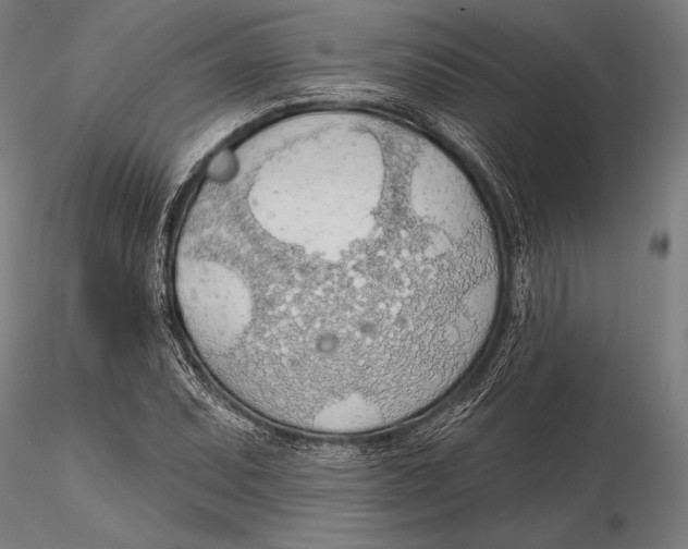X0000115491071200912041010