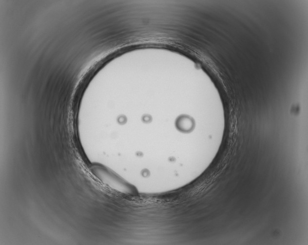 X0000115491072200912041010