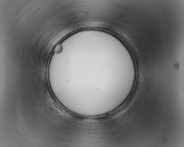 X0000115491073200912041010
