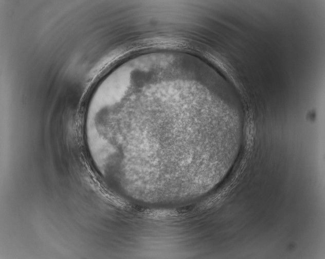 X0000115491074200912041010