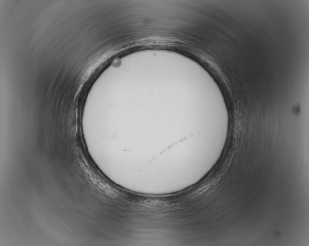 X0000115491075200912041010