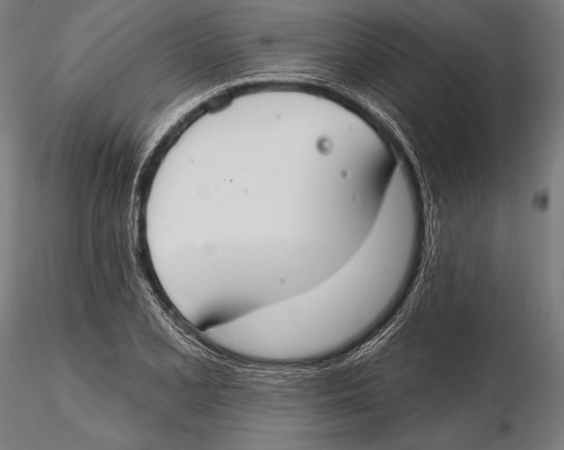 X0000115491077200912041010