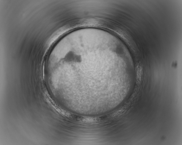 X0000115491078200912041010