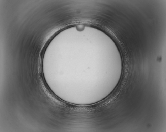 X0000115491079200912041010