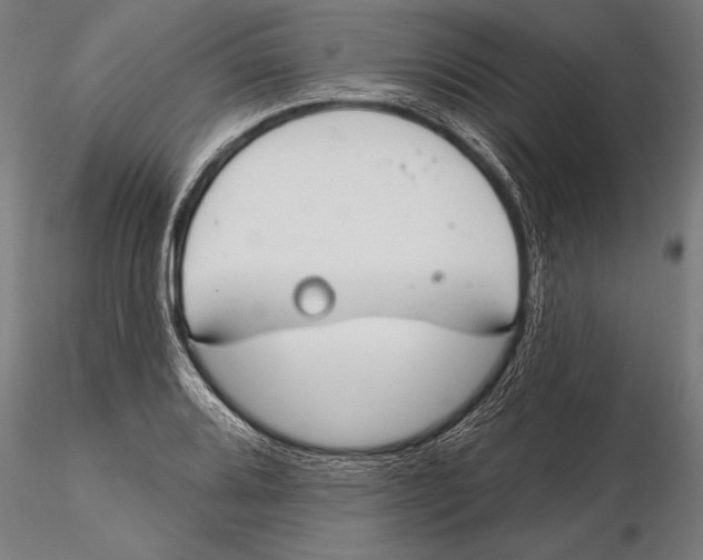 X0000115491080200912041010