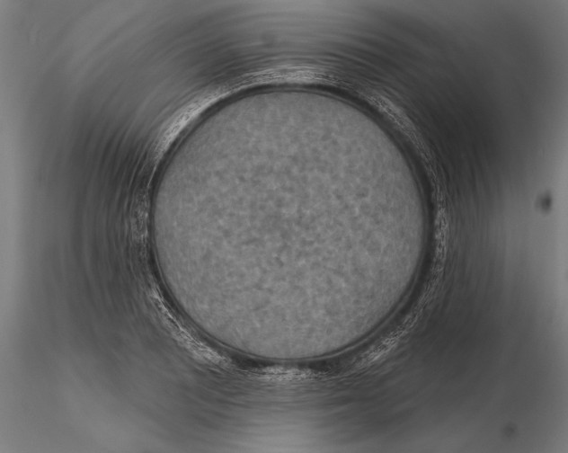 X0000115491081200912041010