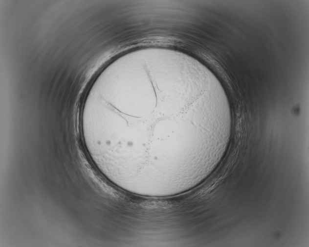 X0000115491083200912041010