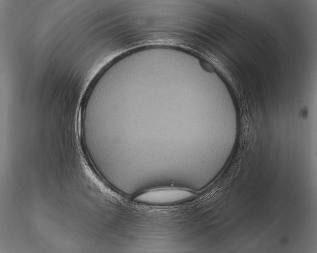X0000115491084200912041010