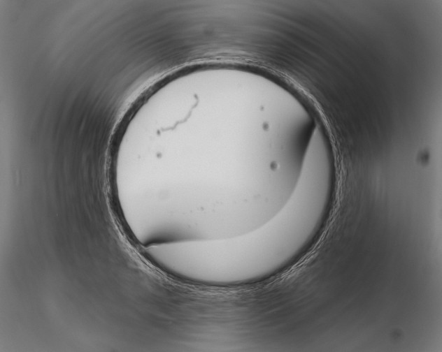 X0000115491085200912041010