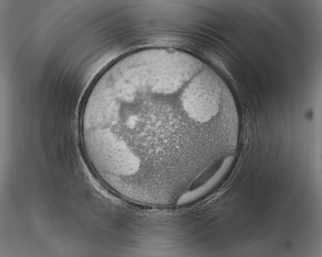 X0000115491087200912041010