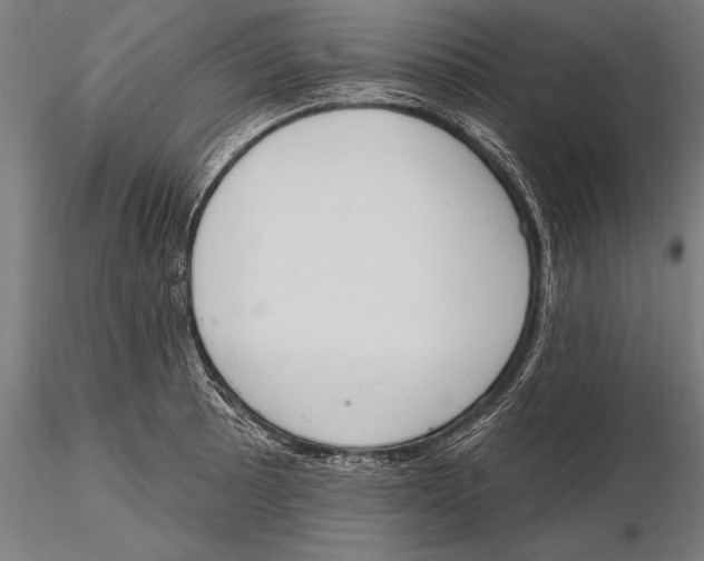 X0000115491089200912041010