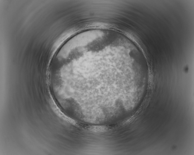 X0000115491090200912041010