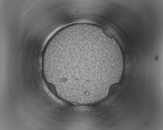 X0000115491092200912041010