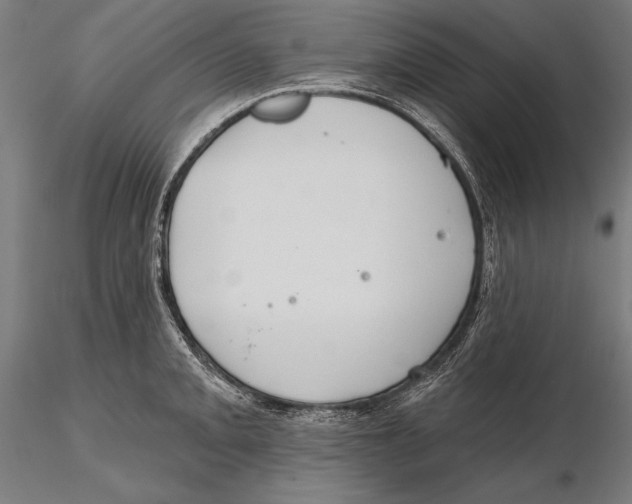 X0000115491093200912041010