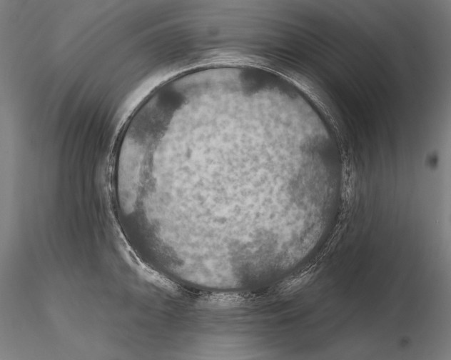 X0000115491094200912041010