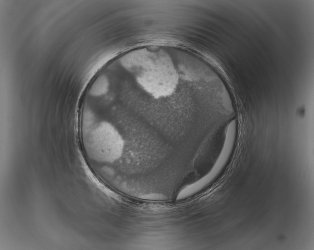 X0000115491095200912041010