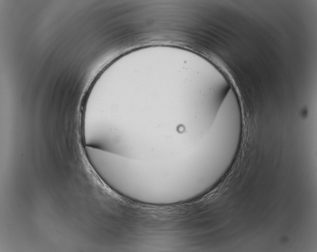 X0000115491096200912041010