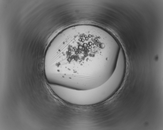 X0000115491097200912041010