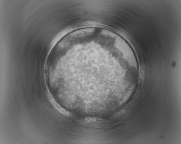 X0000115491098200912041010