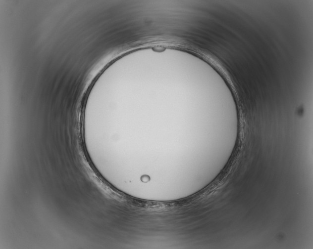 X0000115491099200912041010