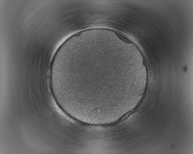 X0000115491100200912041010