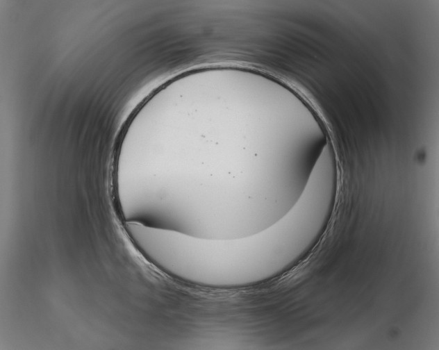 X0000115491101200912041010