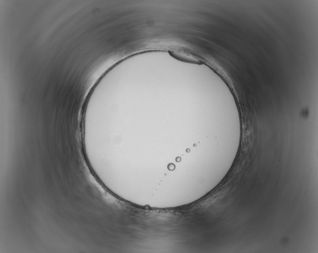 X0000115491103200912041010