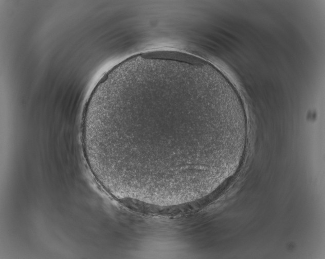 X0000115491104200912041010