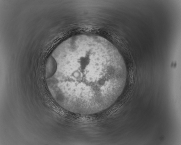 X0000115491105200912041009