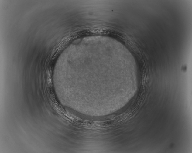 X0000115491106200912041009