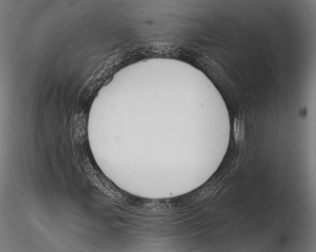 X0000115491107200912041009