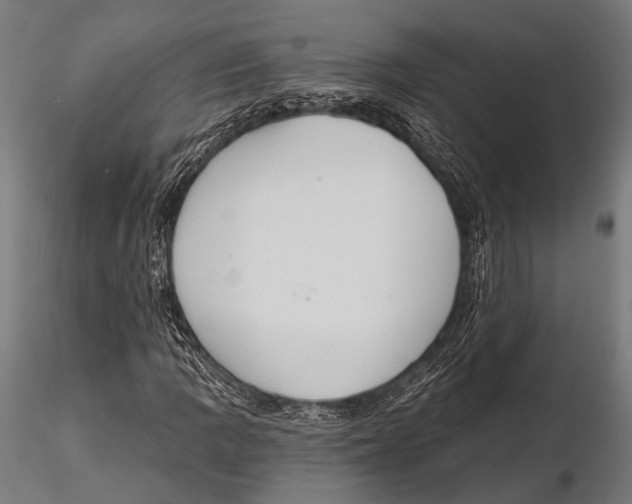 X0000115491109200912041009