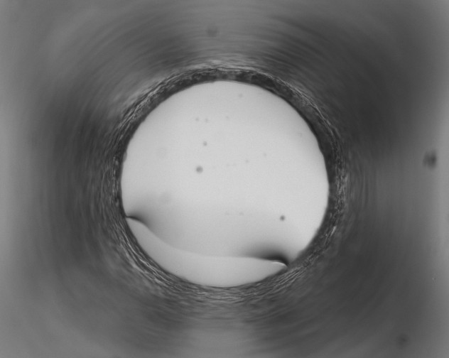 X0000115491110200912041009