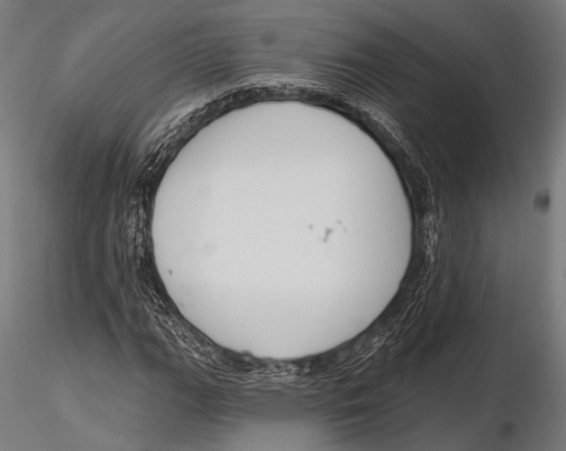 X0000115491111200912041009