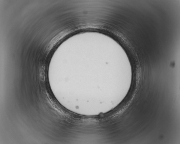 X0000115491113200912041009