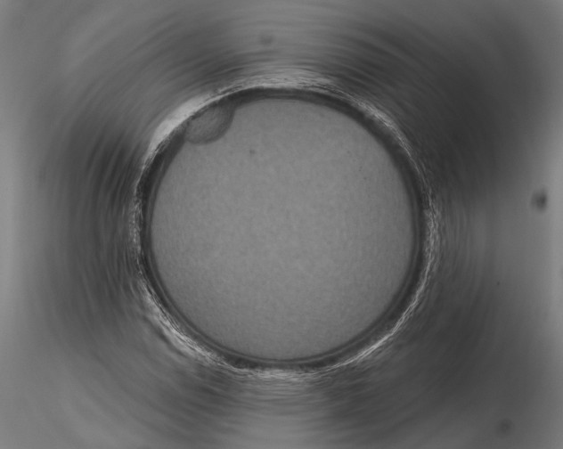 X0000115491114200912041009