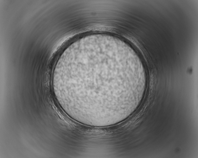 X0000115491115200912041009