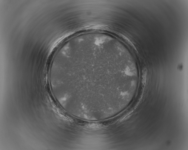 X0000115491117200912041009