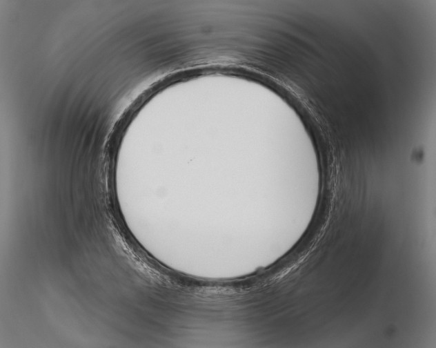 X0000115491118200912041009