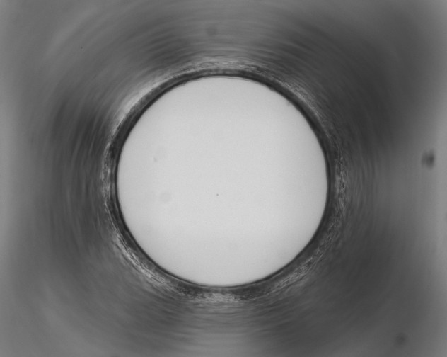 X0000115491119200912041009