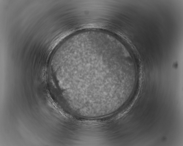X0000115491121200912041009