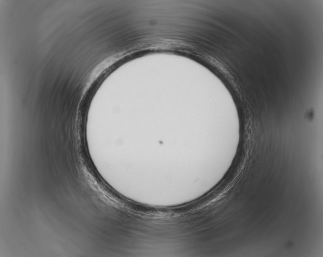 X0000115491122200912041009