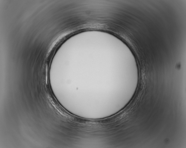 X0000115491123200912041009