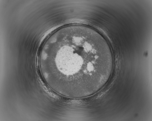 X0000115491125200912041009
