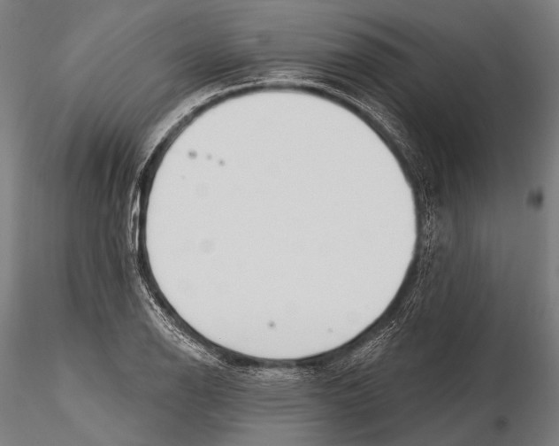 X0000115491126200912041009