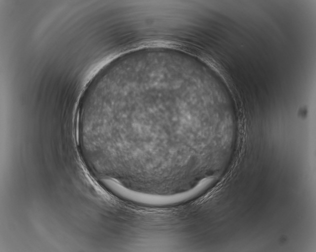 X0000115491127200912041009
