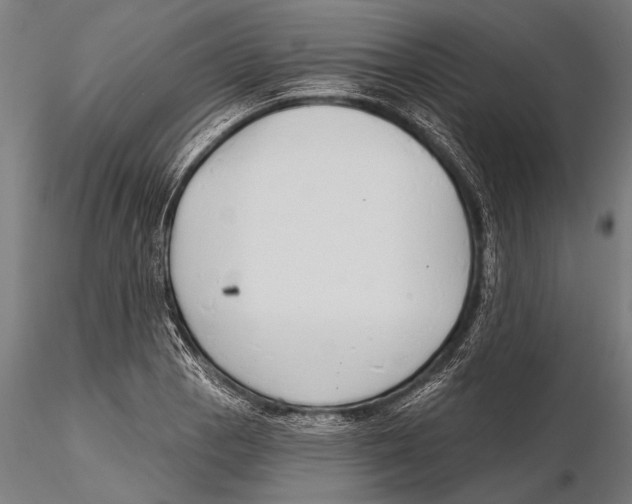 X0000115491129200912041009