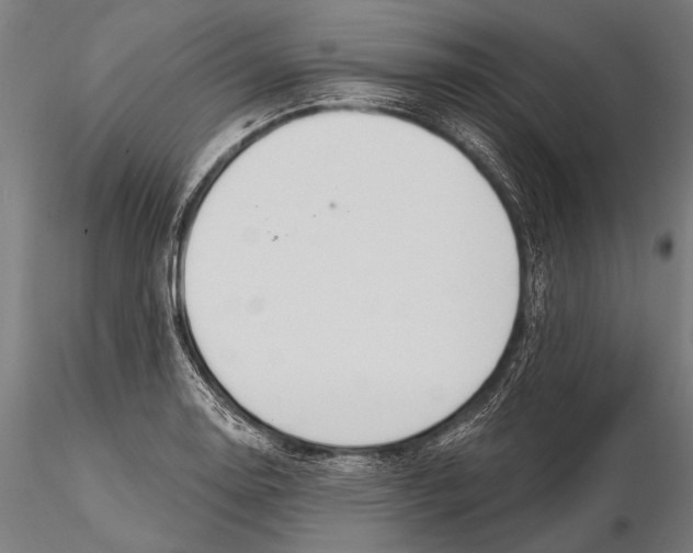 X0000115491130200912041009