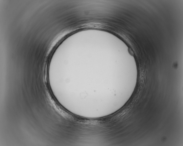 X0000115491131200912041009