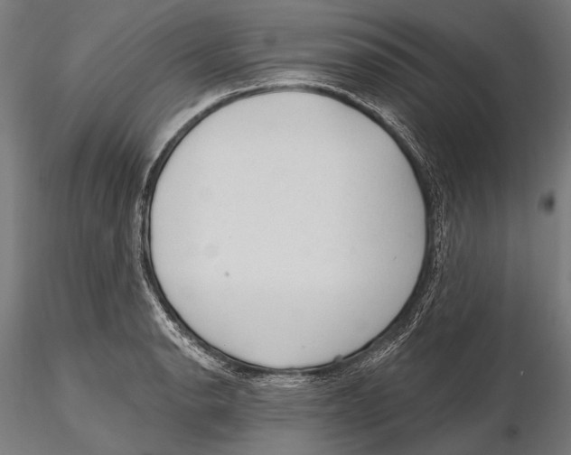 X0000115491134200912041010